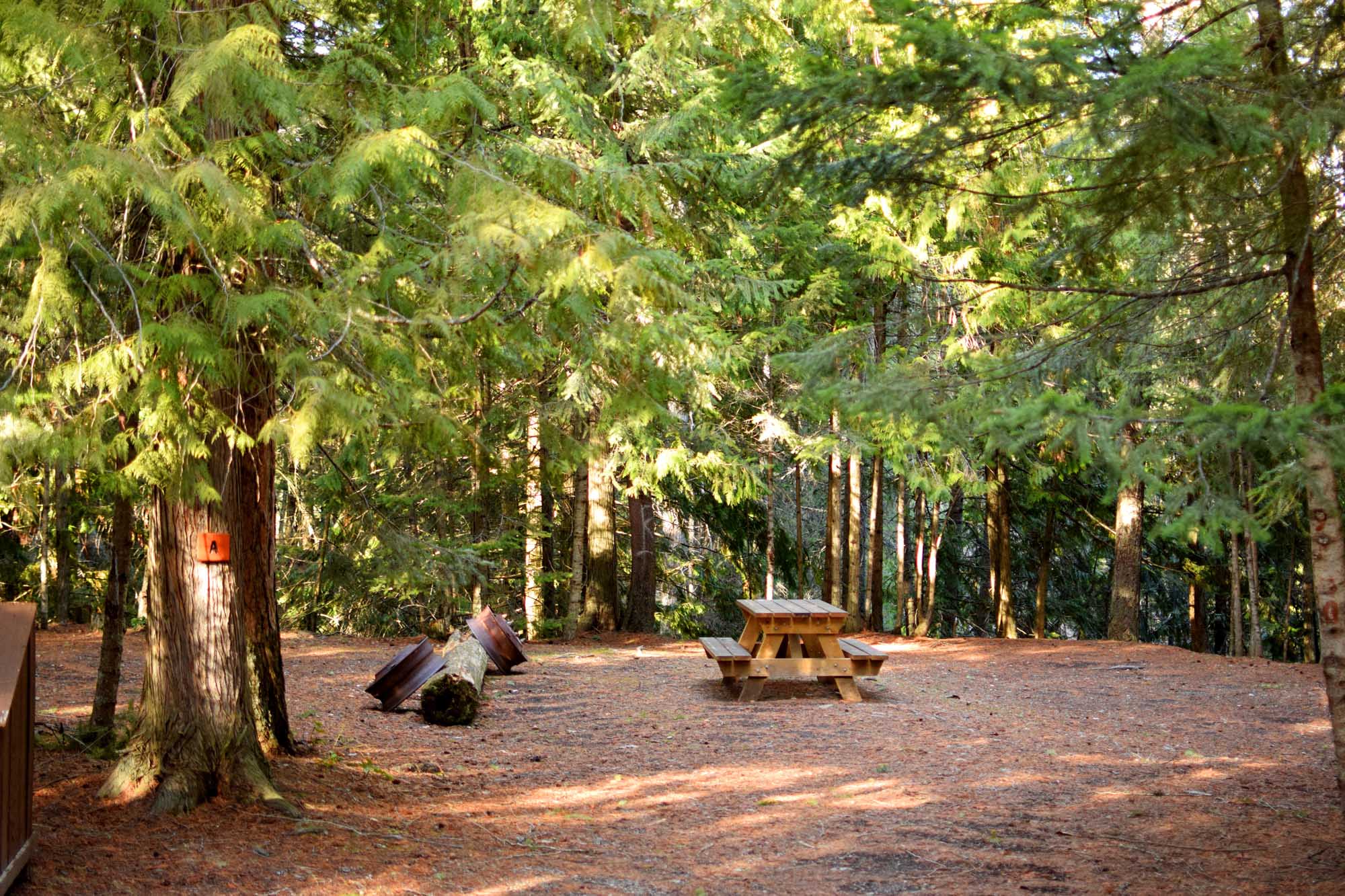 A campsite nestled in the trees with a wooden picnic table and several metal firepit rings leaned up against a log at Gold Panner Campground in Cherryville, BC