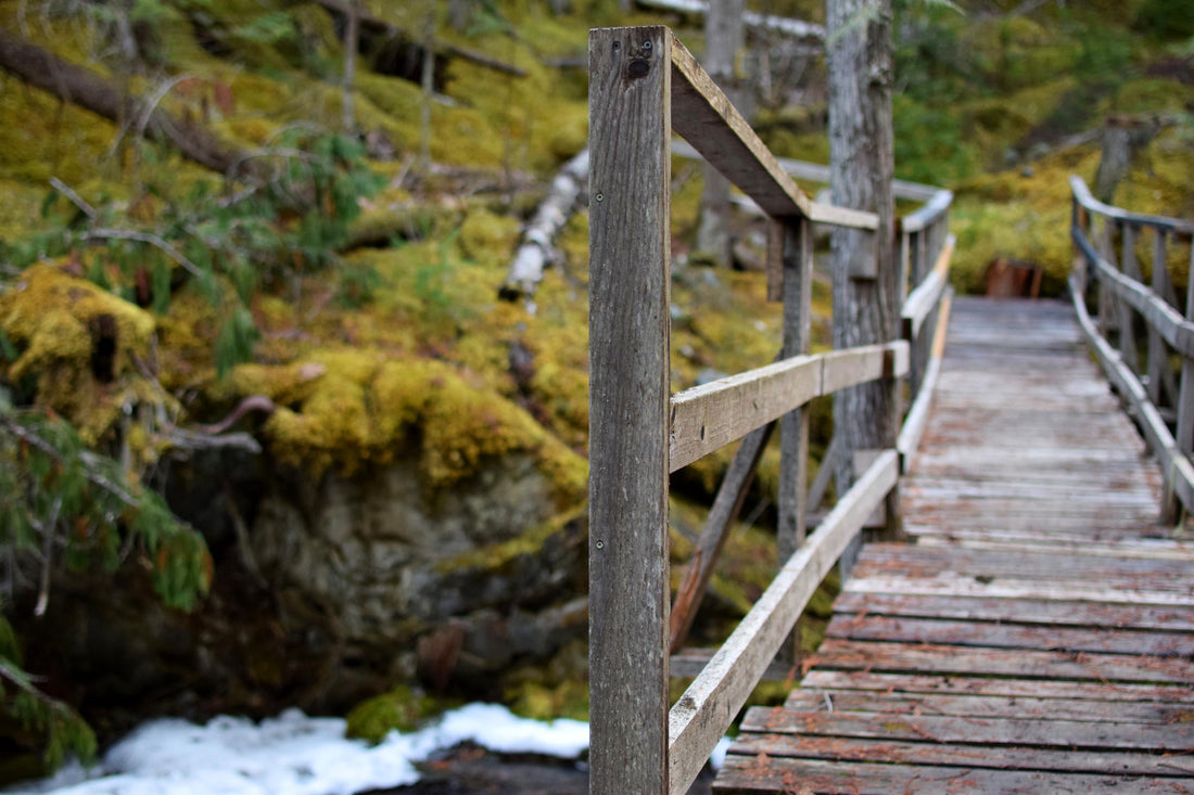 A hiking trail at Gold Panner Campground - a wooden hiking bridge crossing a partially frozen creek. The opposite bank is covered in bright green moss.