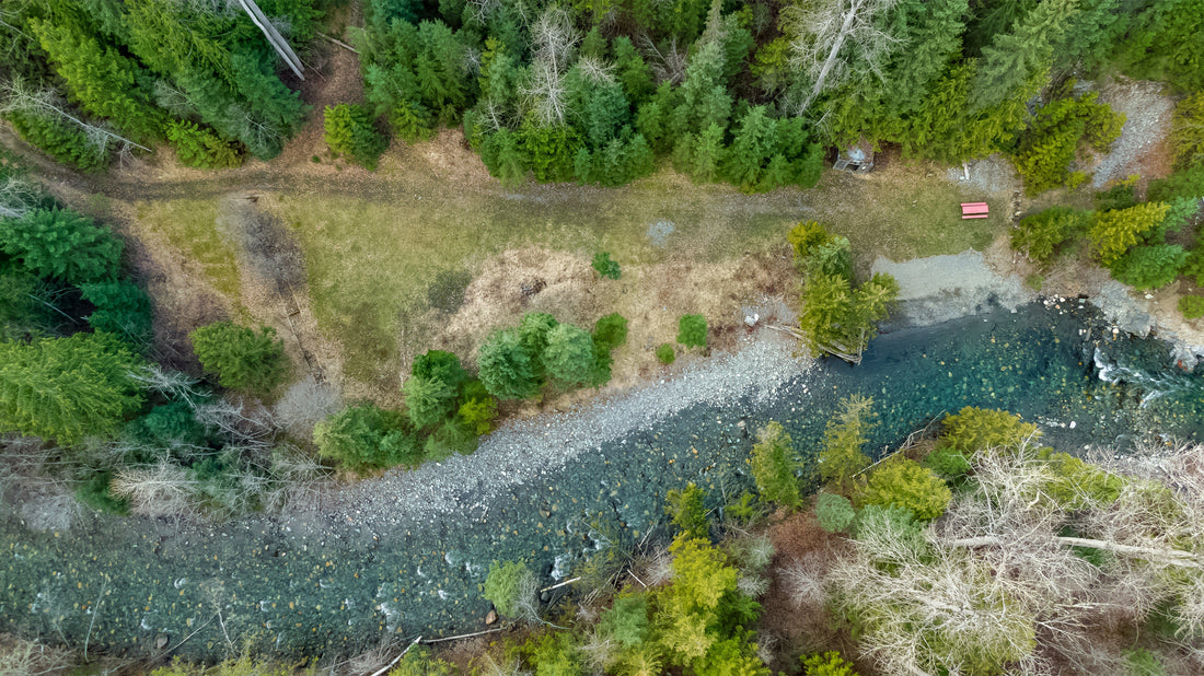 Aerial view of a creek winding through a forest - the gold panning area at Gold Panner Campground, Cherryville, BC