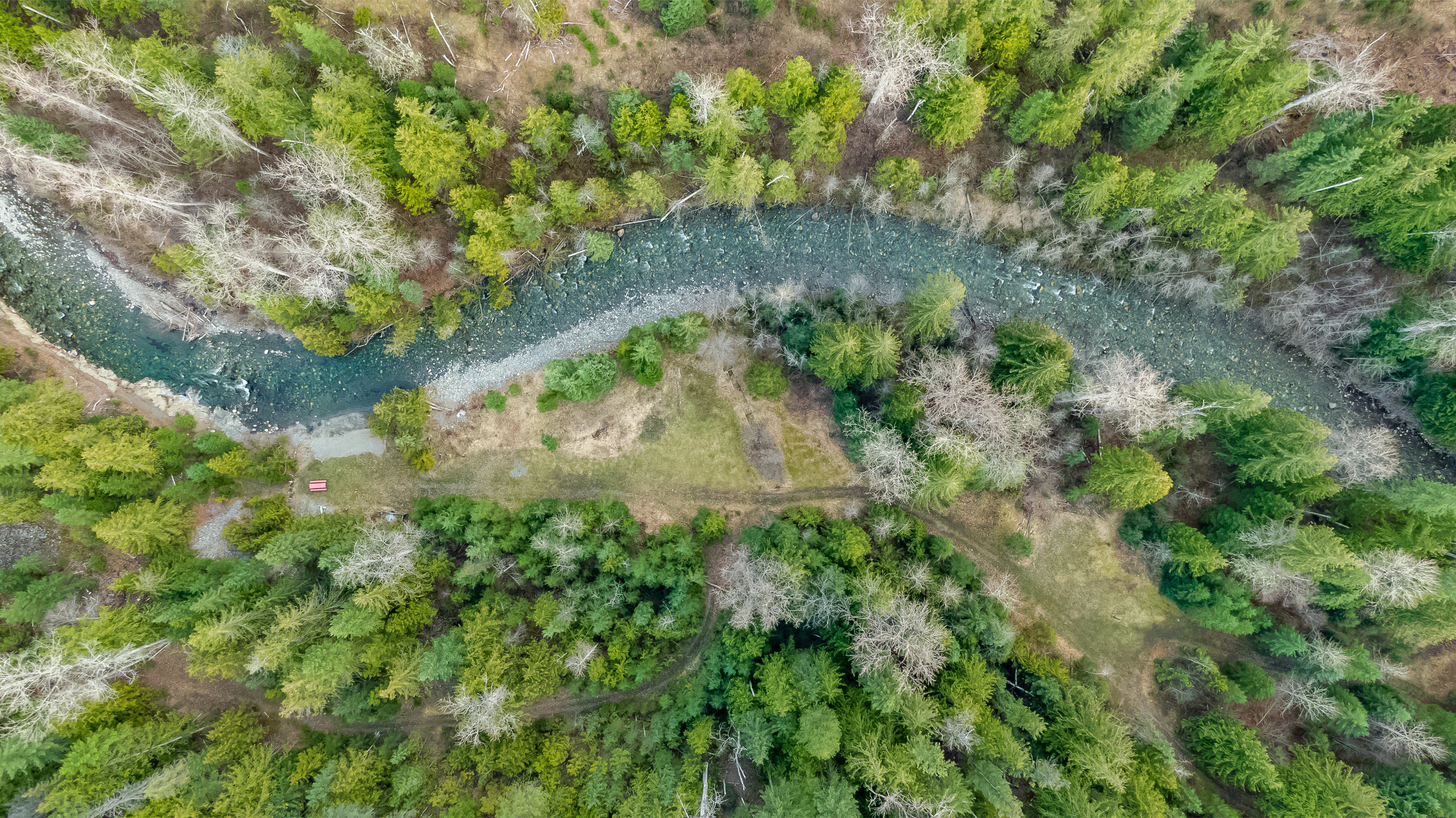Aerial shot of Gold Panner Campground - a winding river flowing between a forest of coniferous trees and old growth cedar